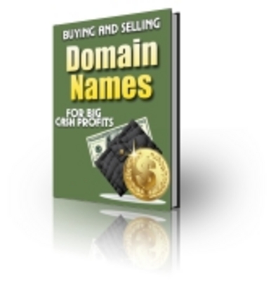 Product picture Buy and Sell Domains/learn to sell domains