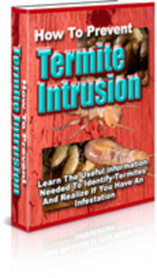 Product picture How To Prevent Termite Intrusion/How To Kill Termites